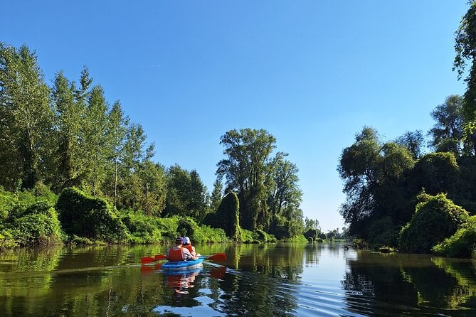Self-Guided Kayak Tour in Belgrade - Pricing and Booking