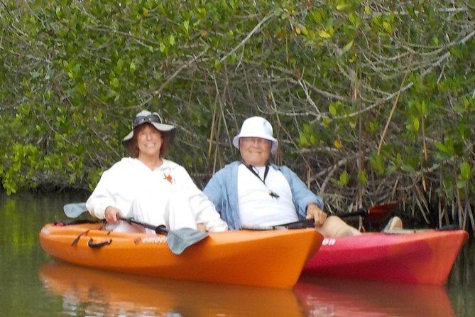 Self-Guided Kayaking Manatee and Dolphin Tour - Key Points