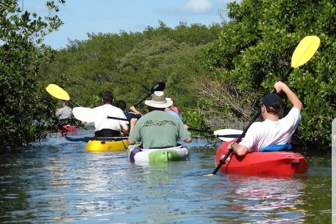 Self-Guided Kayaking Manatee and Dolphin Tour - Meeting and Pickup