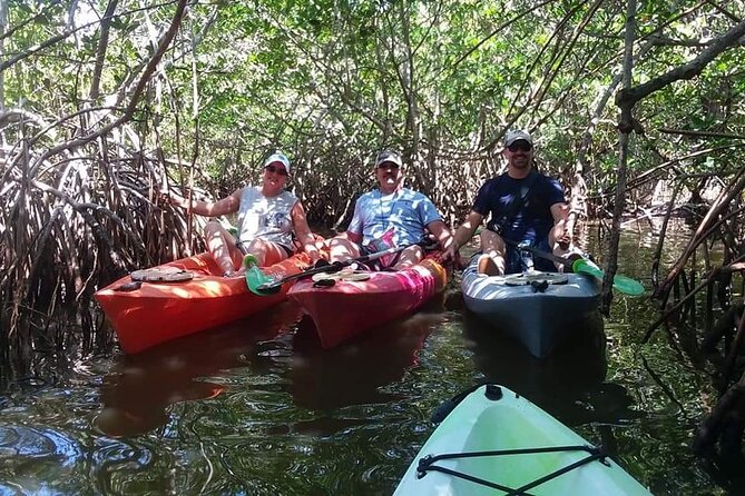 Self-Guided Kayaking Manatee and Dolphin Tour - Customer Experiences