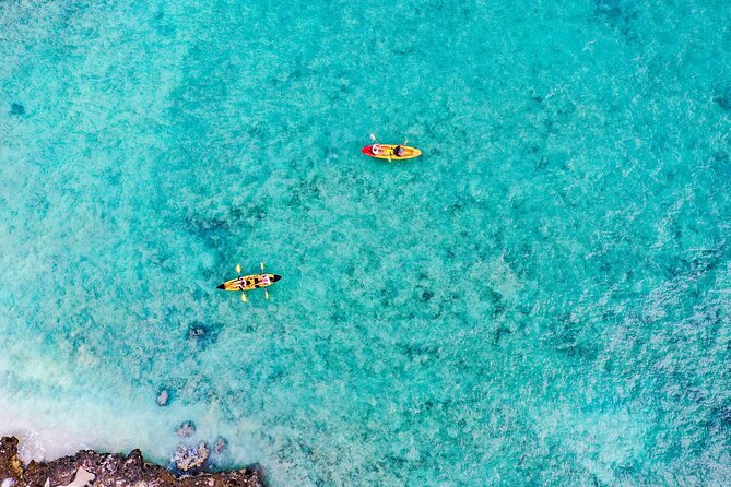 Self-Guided Kayaking Tour in Kailua Bay and Popoia Island - Customer Feedback and Testimonials