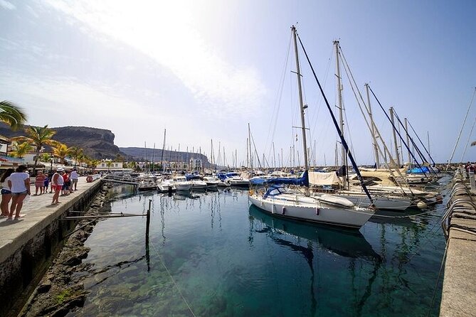 Self-Guided Mogan Tour by Boat - Key Points