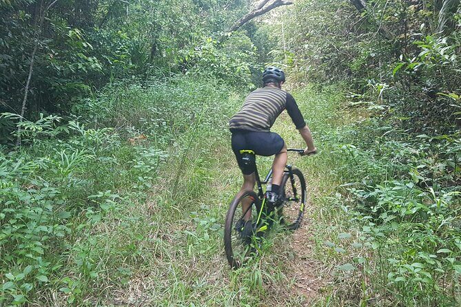 Self-Guided Mountain Bike Tours in Port Douglas - The Big Picture of the Port Douglas Bike Adventure