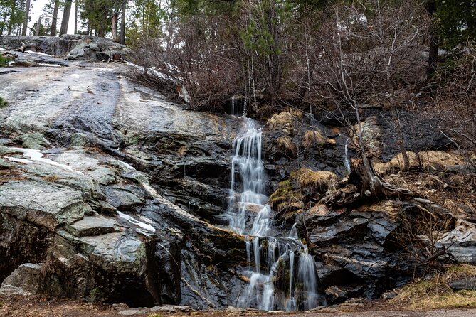 Self-Guided Mt. Lemmon Scenic Byway Driving Tour - Dining Recommendations
