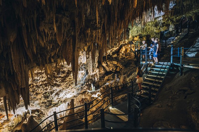 Self-Guided Ngilgi Cave Ancient Lands Experience - Bushland Exploration