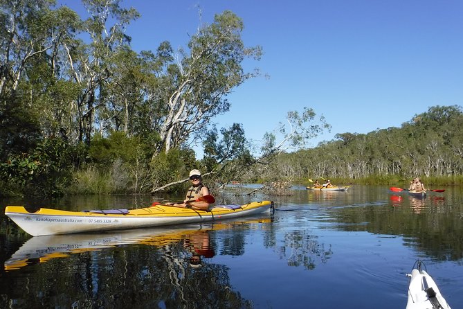 Self-Guided Noosa Everglades Kayak Tour - Paddling to Harrys Hut