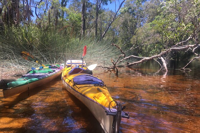 Self-Guided Noosa Everglades Kayak Tour - Recommendations and Additional Information
