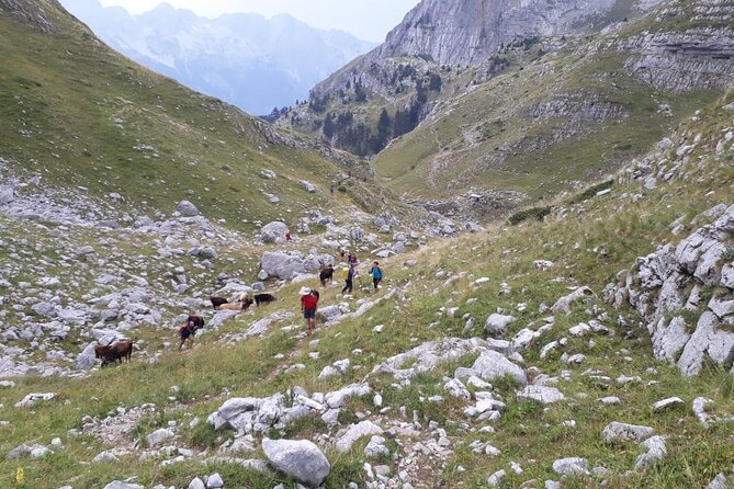 Self - Guided Peaks of the Balkans Tour in 7 Days - Cross-Border Hiking Experiences