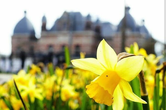 Self Guided Private 2 Hour Route in Arnhem City - Preparing for Your Arnhem Adventure