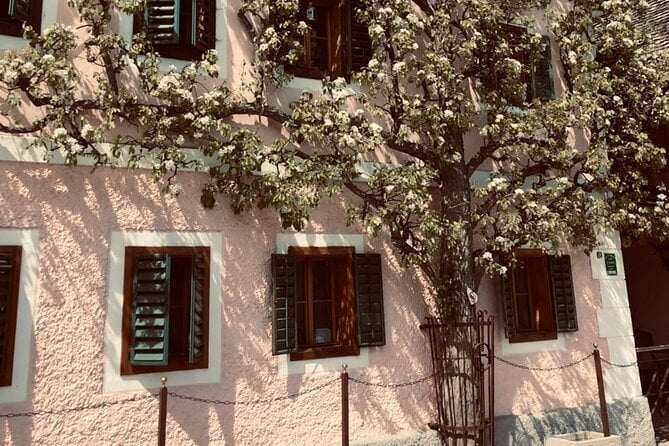 Self-Guided Private Tour of Hallstatt. Best Photo-Points, Panoramic Views, Cafes - Scenic Beauty of Hallstatt