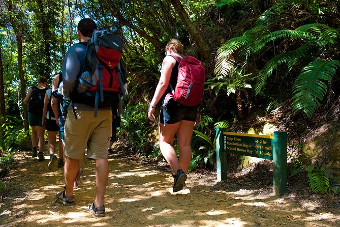 Self-Guided Queen Charlotte Track Walk From Picton - Customer Feedback and Experiences