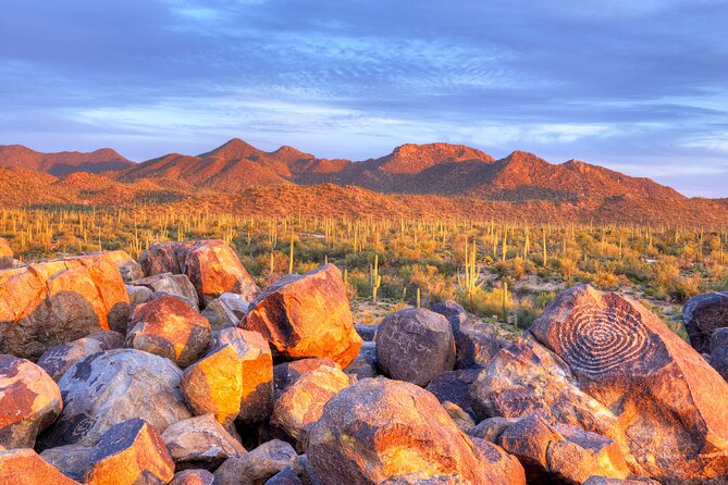 Self-Guided Saguaro National Park Driving Tour - Tour Features