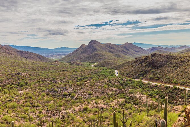 Self-Guided Saguaro National Park Driving Tour - Discover Saguaro National Park