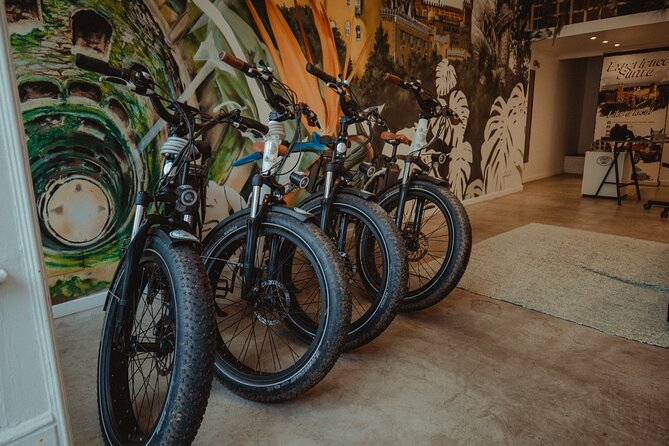 Self-Guided Sintra - E-bike Experience - Accessibility and Requirements