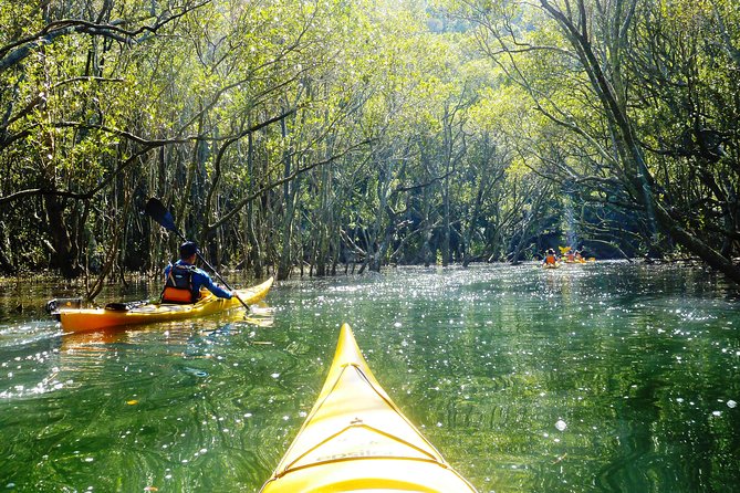 Self-Guided Sydney Middle Harbour Kayak 3 Hour Tour by Double Kayak - Reviews