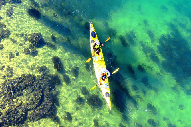 Self-Guided Sydney Middle Harbour Kayak 3 Hour Tour by Double Kayak - Registration Process