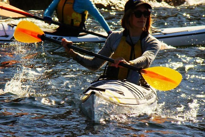 Self-Guided Sydney Middle Harbour Kayak 3 Hour Tour by Single Kayak - Booking Information