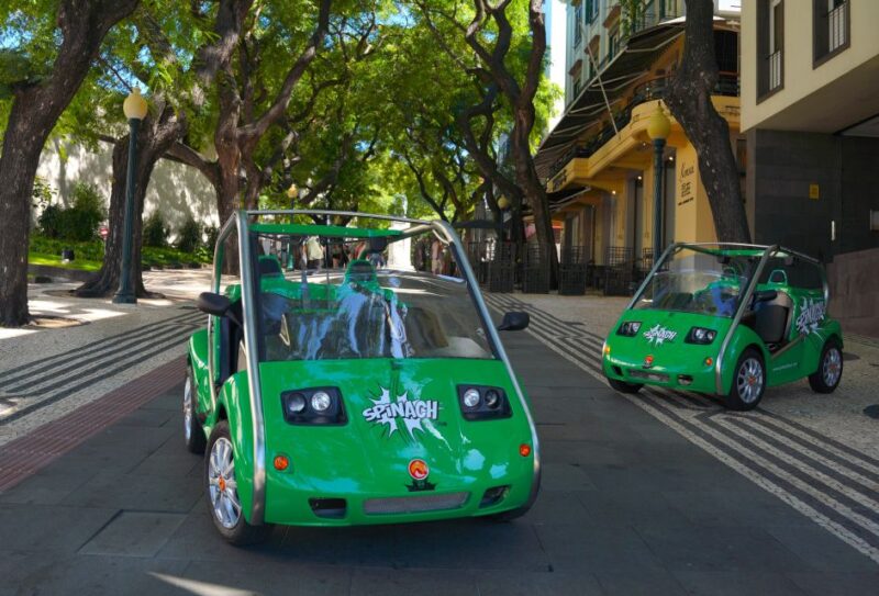 Self-Guided Tour of Funchal on an Electric Car - Tour Overview and Pricing