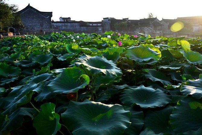 Self-Guided Tour of Huangshan Ancient Villages:Hongcun, Xidi,Chengkan or Tangmo - Location and Destinations