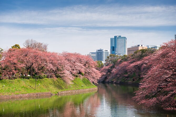 Self-Guided Tour of Tokyos Hidden Alleys - Meeting and End Point