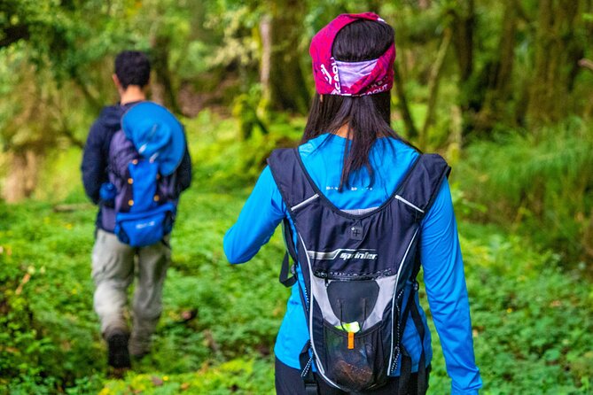 Self-Guided Walk in the Iral Cloud Forest Trails - Key Points