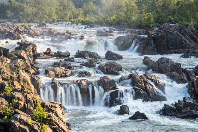 Self-Guided Waterfall Hiking Tour Through Great Falls National Park - Reviews and Feedback
