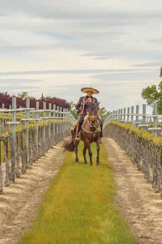 Self-Guided Wine Tasting Audio Tour - Paso Robles CA - Customer Feedback