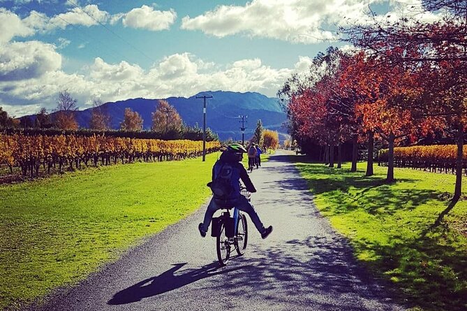 Self-Guided Wine Tours by Bike With Steve & Jo in Marlborough - Accessibility for All Guests