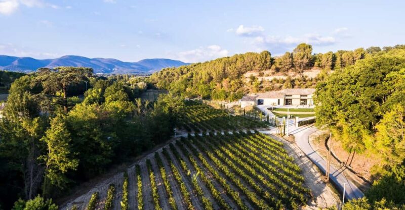 Self Tour of the Olive Oil Mill & Olive Oil Tasting - Tasting Experience
