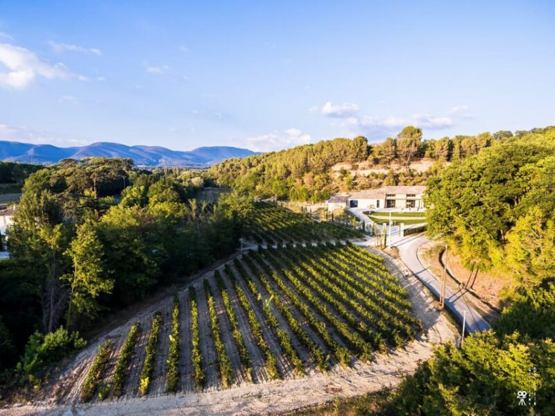 Self Tour of the Olive Oil Mill & Olive Oil Tasting - Accessibility Information