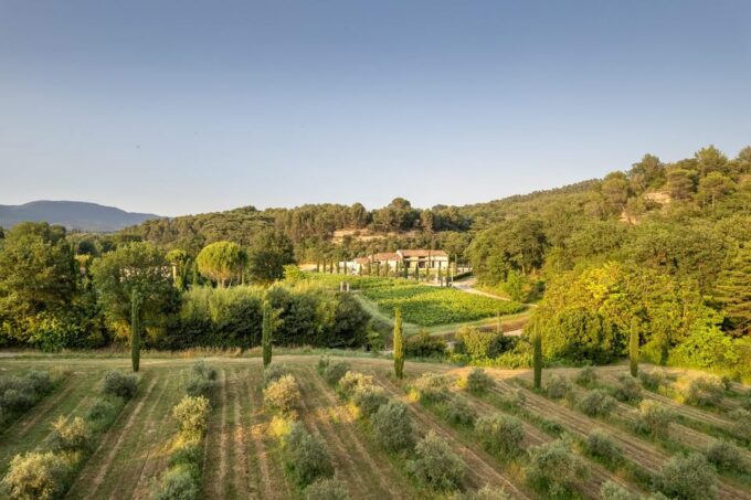Self Tour of the Olive Oil Mill & Olive Oil Tasting - Frequently Asked Questions