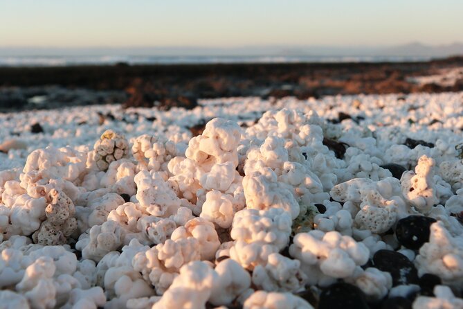 Selfguided Ebike Tour to Popcorn Beach and the Northern Volcanoes - Tour Inclusions