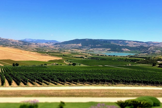 SELINUNTE and EVOO Private Tour With Local Guide Starts From Agrigento/Sciacca - Tour Overview and Highlights