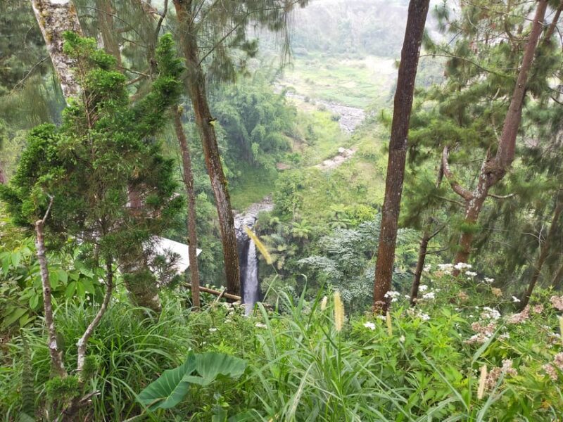 Selogriyo Temple & Trekking Java Rice Terraces, Waterfall - Visit Hidden Waterfall