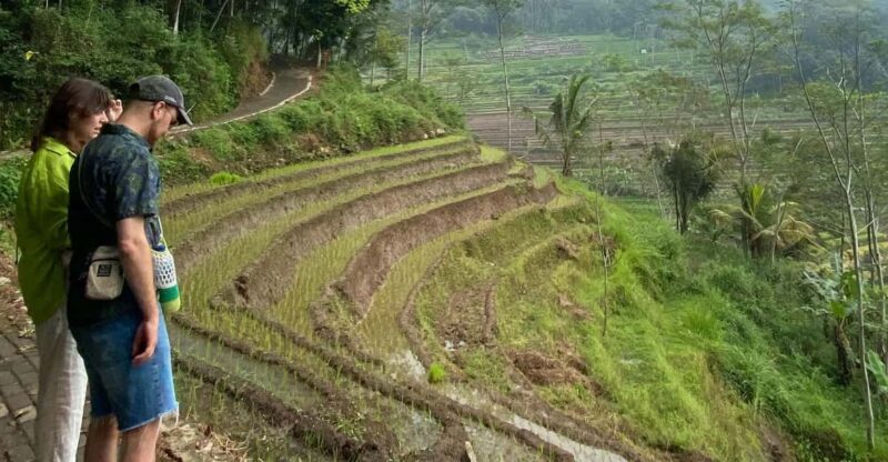 Selogriyo Temple With Rice Terrace Trekking - Key Points