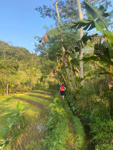 Selogriyo Temple With Rice Terrace Trekking - Overview of the Tour
