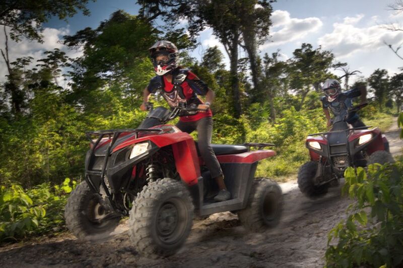 Selvatica Park: Zip Lines & ATV Jungle Adventure - Pricing and Reservations