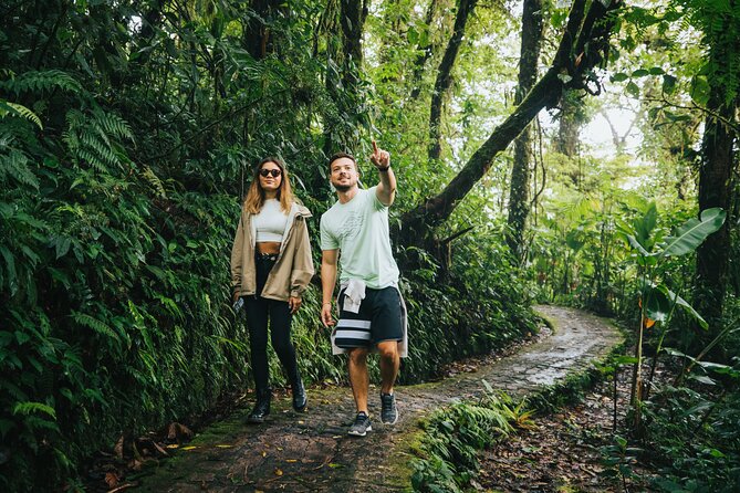 Selvatura Hanging Bridges Admission Ticket - Key Points