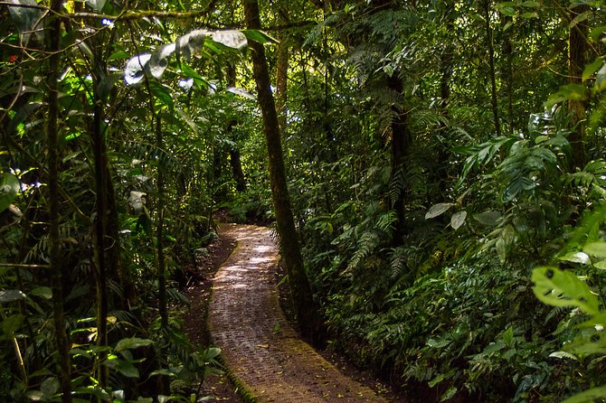Selvatura Park Combo Tour From Monteverde - Butterfly Gardens