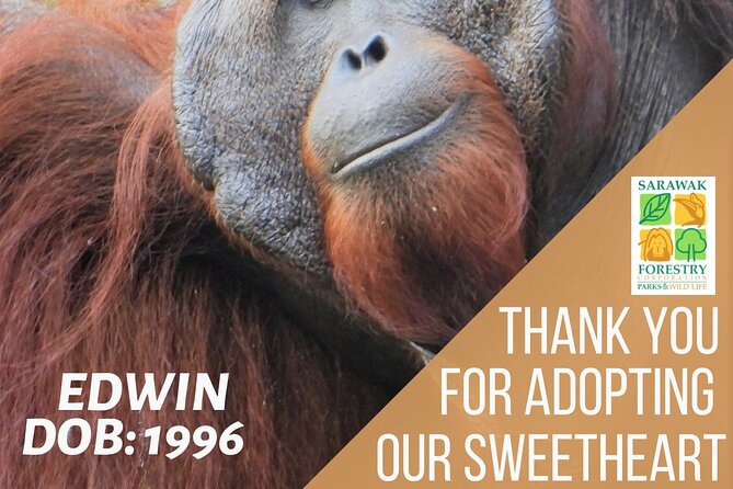 Semenggoh Orangutan Center & Sarawak Cultural Village - Semenggoh Nature Reserve