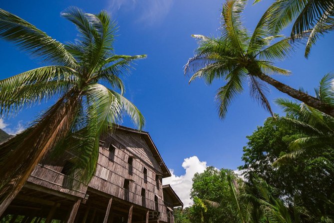 Semenggoh Orangutan Center & Sarawak Cultural Village - Tour Experience and Reviews