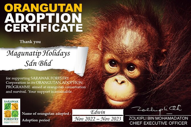 Semenggoh Orangutan Centre From Kuching - Rehabilitation and Conservation