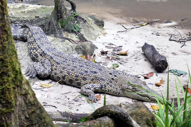 Semenggok Wildlife Centre - Location and Focus