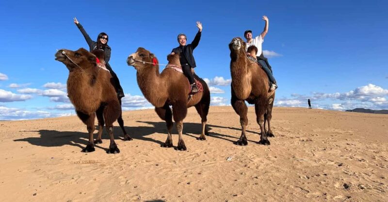 Semi Gobi With Nomads and Explore Khugnu Tarna National Park - Itinerary Highlights