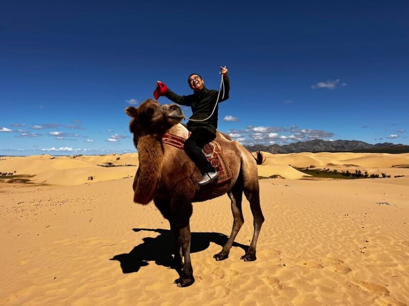 Semi Gobi With Nomads and Explore Khugnu Tarna National Park - Included Services
