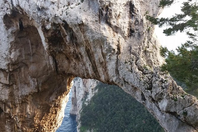 Semi-Guided Capri Tour From Capri Pier at 10,15 - Customer Reviews and Feedback