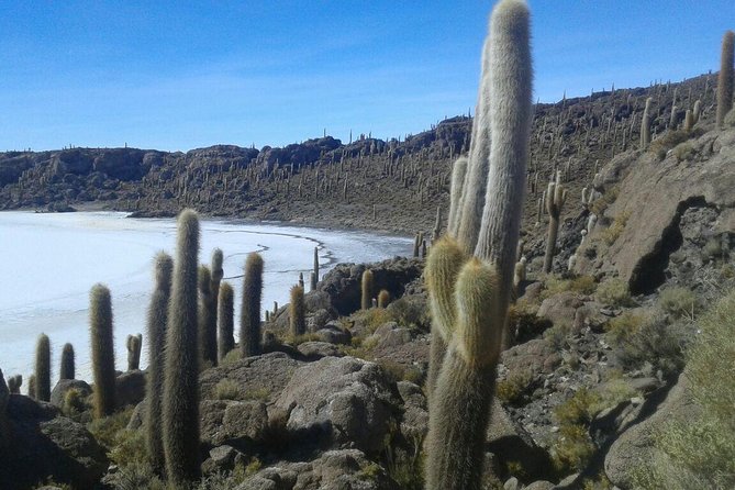 Semi-Private: 3-Day Uyuni Salt Flats and Colored Lagoons W/ Private Hotel - Booking and Contact