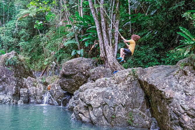 Semi Private El Yunque Tour -Transp. Inc. - Cancellation and Safety Policies