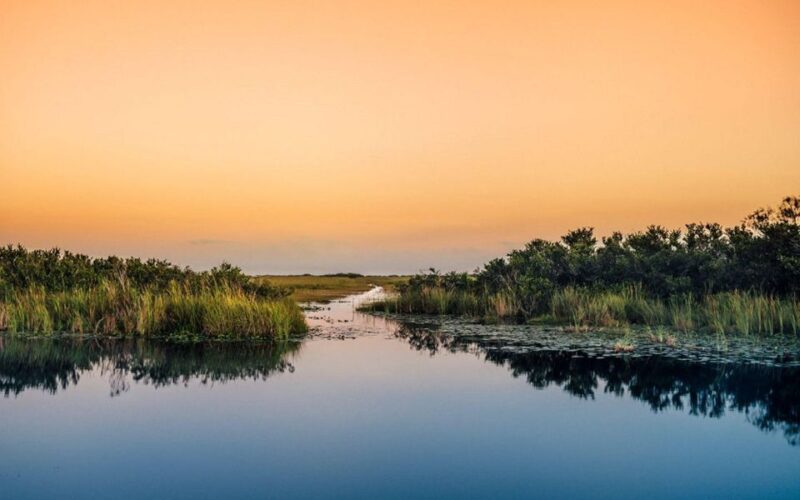 Semi-Private Everglades Tour From Miami or Fort Lauderdale - Experience Highlights