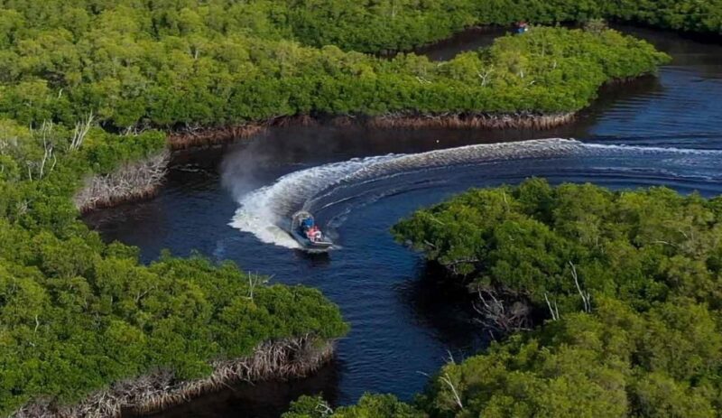 Semi-Private Everglades Tour From Miami or Fort Lauderdale - Booking Information